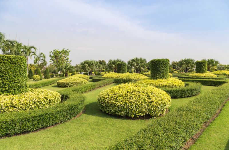 Lawn with Freshly Trimmed Shrubs
