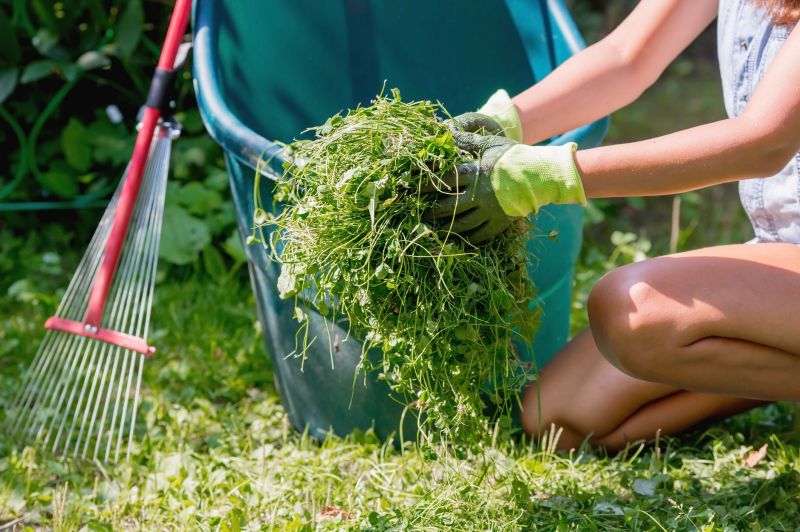 Customized Lawn Care Plans