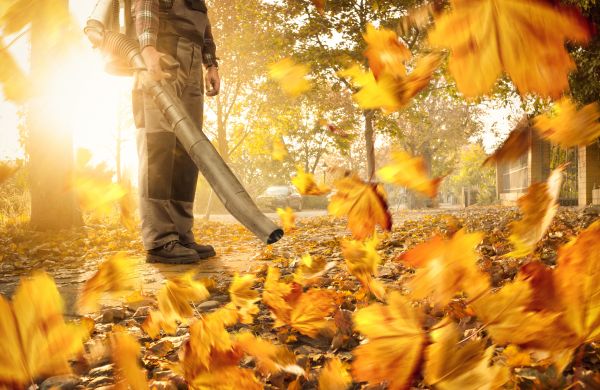 Leaf Blowing Service in Anaheim