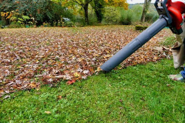 Leaf Vacuuming Service in Anaheim