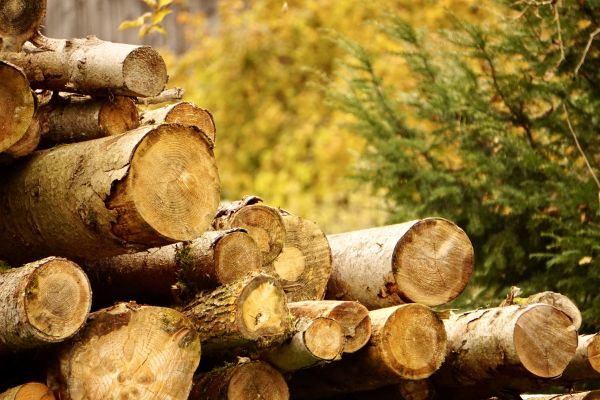 Wood Pile Removal in Anaheim