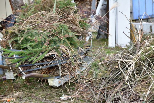 Yard Debris Removal in Anaheim
