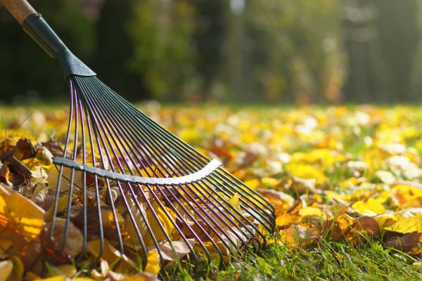 Leaf Raking Service in Anaheim