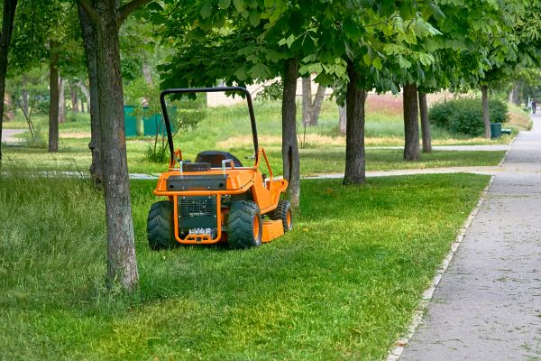 Landscaping Cleanup Service in Anaheim