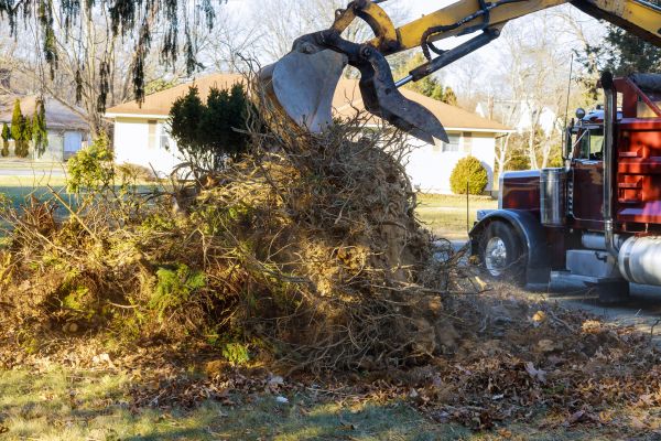 Storm Debris Removal in Anaheim