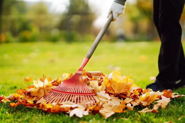 Ditch Leaf Removal in Anaheim