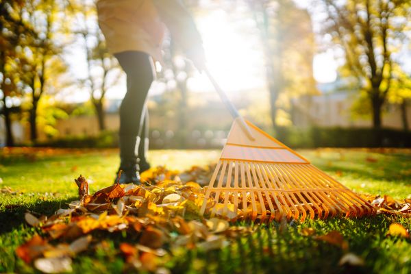 Leaves Raking in Anaheim