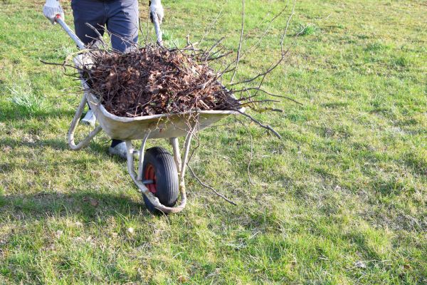 Yard Brush Removal in Anaheim