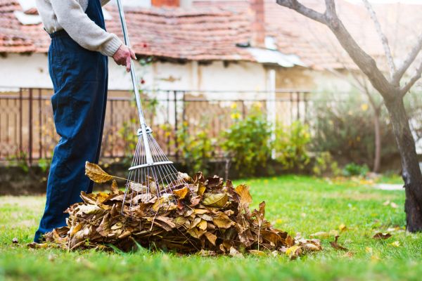 Spring Lawn Cleanup in Anaheim