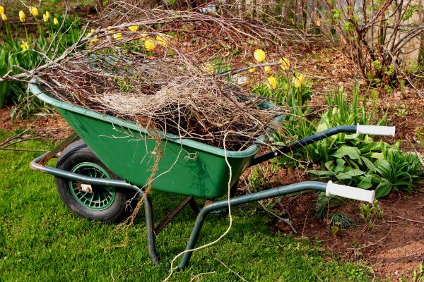 Lawn Waste Removal in Anaheim