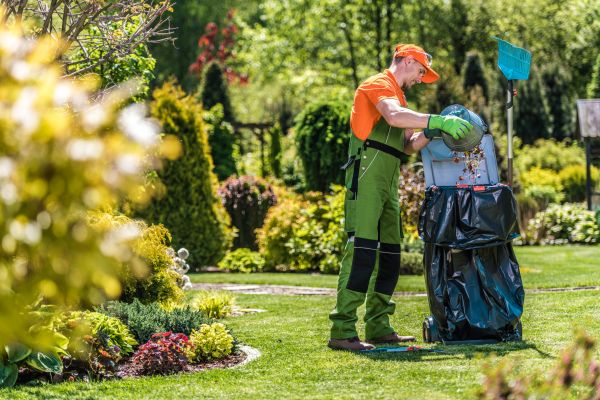 Spring Lawn Tidying