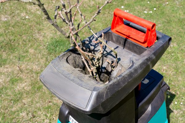 Brush Cleanup Service in Anaheim