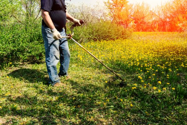 Yard Clearing Service in Anaheim