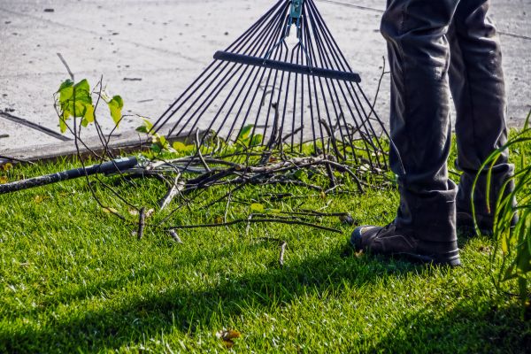 Yard Debris Cleanup in Anaheim