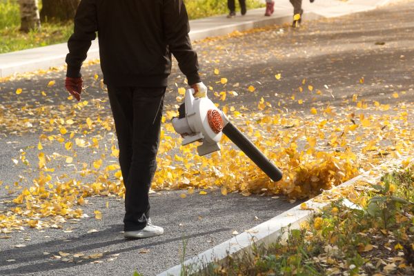 Commercial Leaf Removal in Anaheim